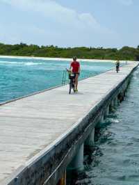 Island Paradise Awaits