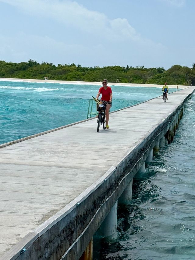 Island Paradise Awaits