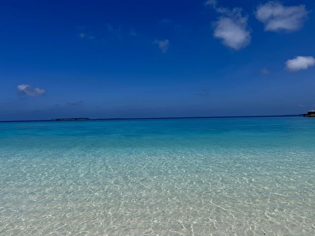 A Memorable Return to the Maldives