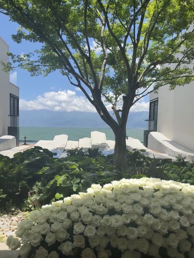 寶子們看著 大理洱海旁的酒店性價比超高要不一起旅行