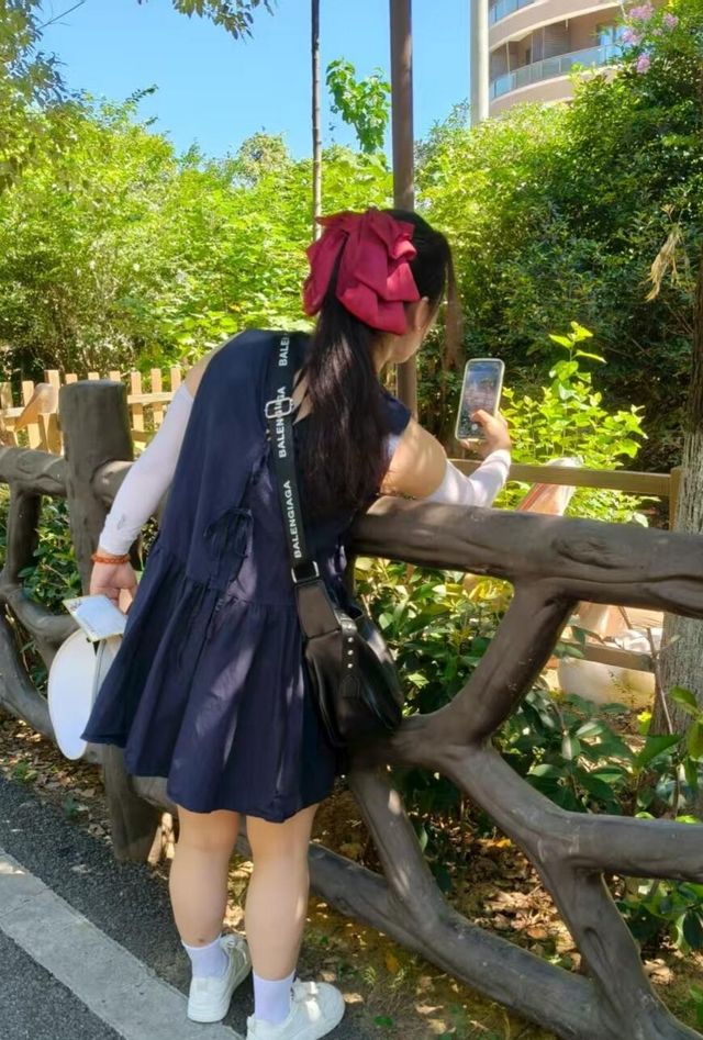 湖州龍之夢動物園全攻略｜親子/情侶/長者遊玩指南