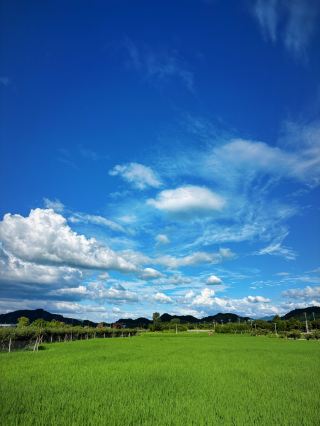富陽山澗漫記：溪溝畔的藍天白雲與稻田詩篇