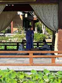 帶娃必去！曲阜3天2晚文化研學之旅