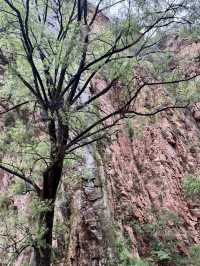 歲月靜養，武安長壽村的山居晨暮