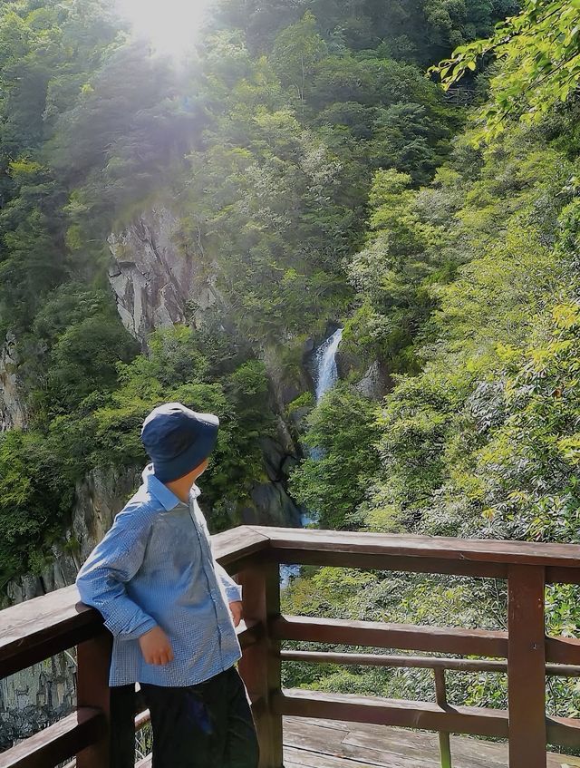 親測！江西三百山超詳細保姆級攻略