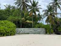 Unforgettable Honeymoon at Park Hyatt Maldives