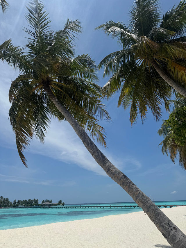 Magical Escape at Villa Sun Resort, Maldives