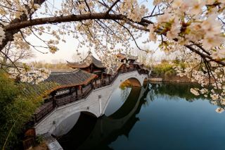 阜陽溜達指南：除了枕頭饃，這兒還有讓你慢下來的水鄉味兒！