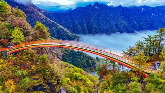 神農架十里不同天再現雲海盛宴