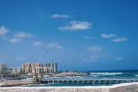 埃及｜亞歷山大一點也不壓力山大