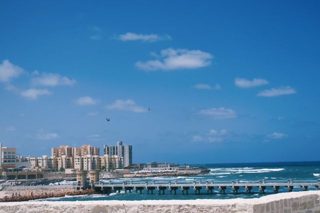 埃及｜亞歷山大一點也不壓力山大