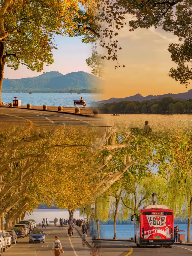 秋日限定｜Live圖直出的絕美瞬間，這才是屬於秋天的儀式感