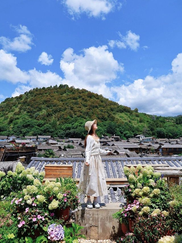 麗江拍照攻略 必打卡的花海古鎮！