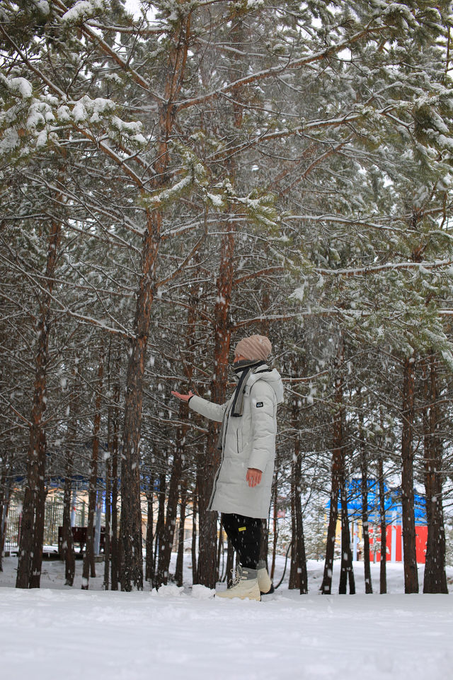 在中國最北，赴一場冰雪與極光的浪漫之約