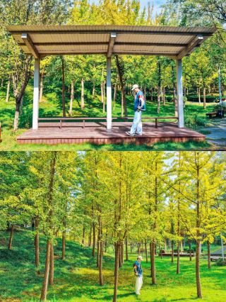 Shandong Zibo's "Affordable Alternative" to Qisheng Lake, 6 Kilometers from the High-Speed Rail Station