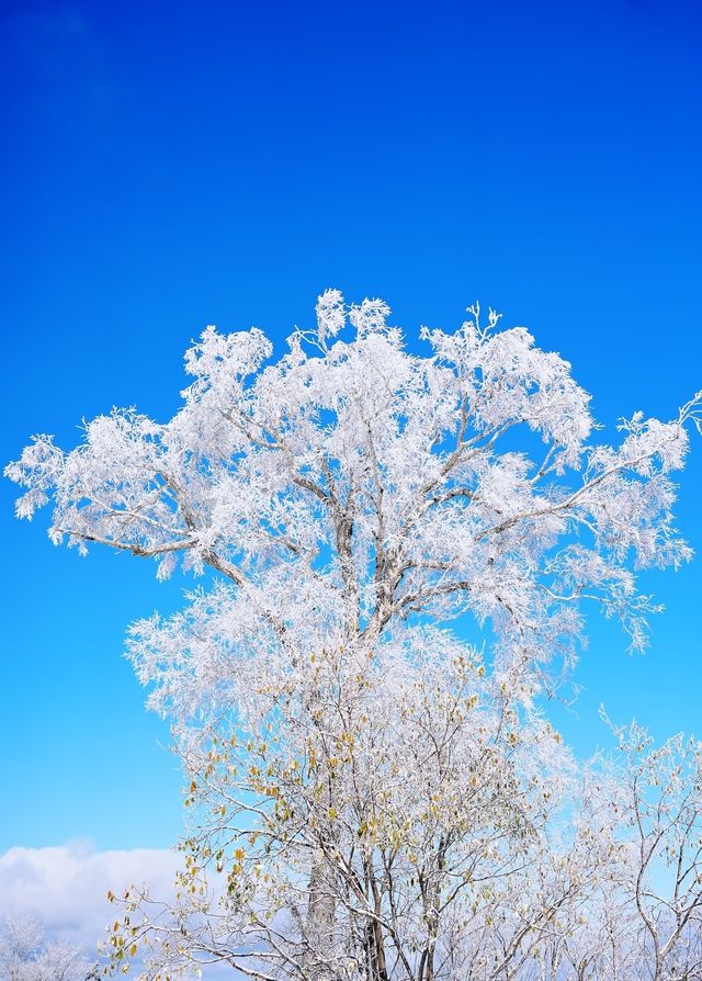 亞布力暖居別墅｜在童話裡滑雪，在城堡裡躺平！ 【住進風景裡的神仙操作】 - 窗外即大片：