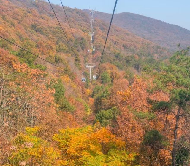 藏在鬧市的百年古寺，毗盧寺的寧靜與厚重，遠比想像中更動人
