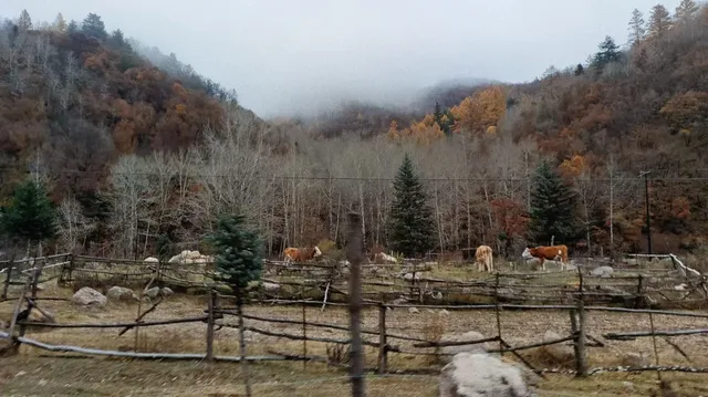 山西最美的季節就要來了，附賞秋旅遊攻略