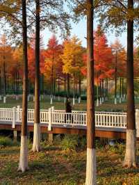 秘境秋色,賽罕烏拉遊攻略