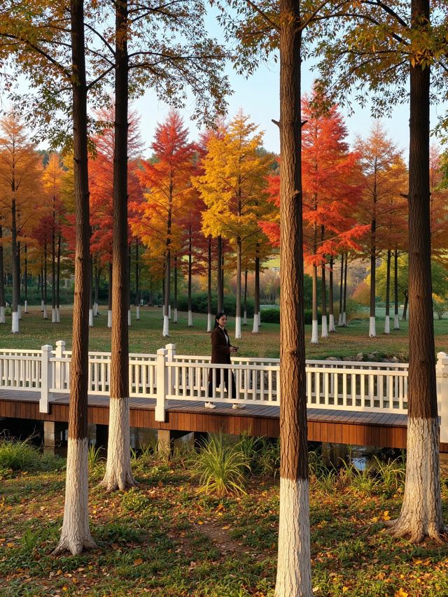 秘境秋色,賽罕烏拉遊攻略 秘境秋色,賽罕烏拉遊攻略