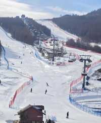 崇禮滑雪場開板迎新雪季，新增野雪山谷