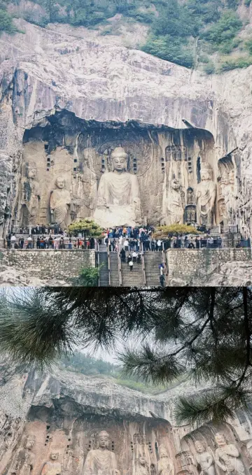 Henan 3-City Walking Tour Guide! A must-visit for ancient city lovers, explore Zhengzhou + Kaifeng + Luoyang in 3 days, averaging 20,000 steps per day for a true special forces travel experience! Day