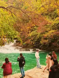 西安周邊|不愧陝南小九寨低估賞秋天花板
