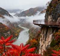 鄭國渠秋日限定攻略！水墨峽谷+翡翠碧波，錯過等一年！