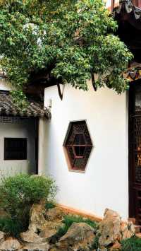 蘇州的秋天|在怡園的桂花香裡,撞見江南最溫柔的時刻