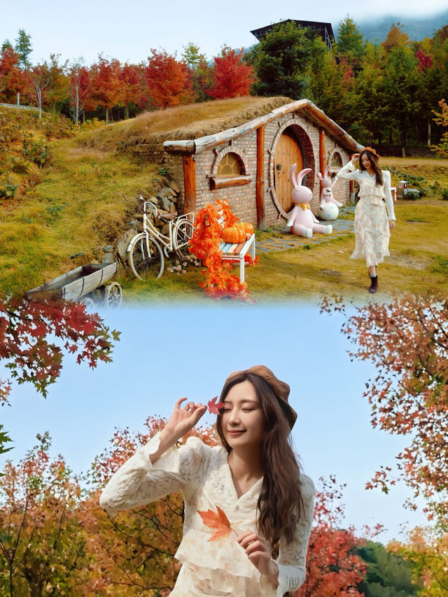 廣州出發!2.5小時車程找到廣東秋日拍照聖地 廣州出發!2.5小時車程找到廣東秋日拍照聖地