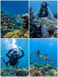 印尼實測超詳細景點時間線行程