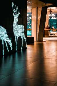 住進長白山鹿苑裡!睡醒就被小鹿包圍,冬季限定浪漫!