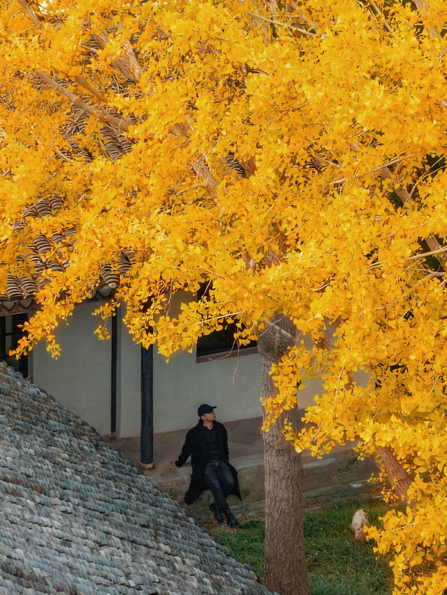上海周邊被《國家地理》推薦的海邊小城 上海周邊被《國家地理》推薦的海邊小城
