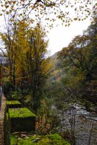 秦嶺留壩環線之情人谷