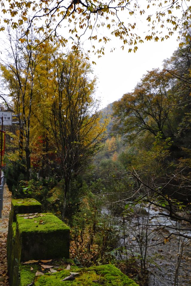 秦嶺留壩環線之情人谷