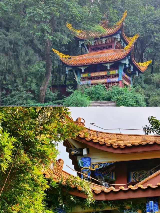 綿陽已回,詳細攻略分享。 綿陽已回,詳細攻略分享。