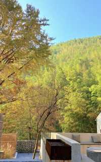 不慌不忙與秋風最後的浪漫