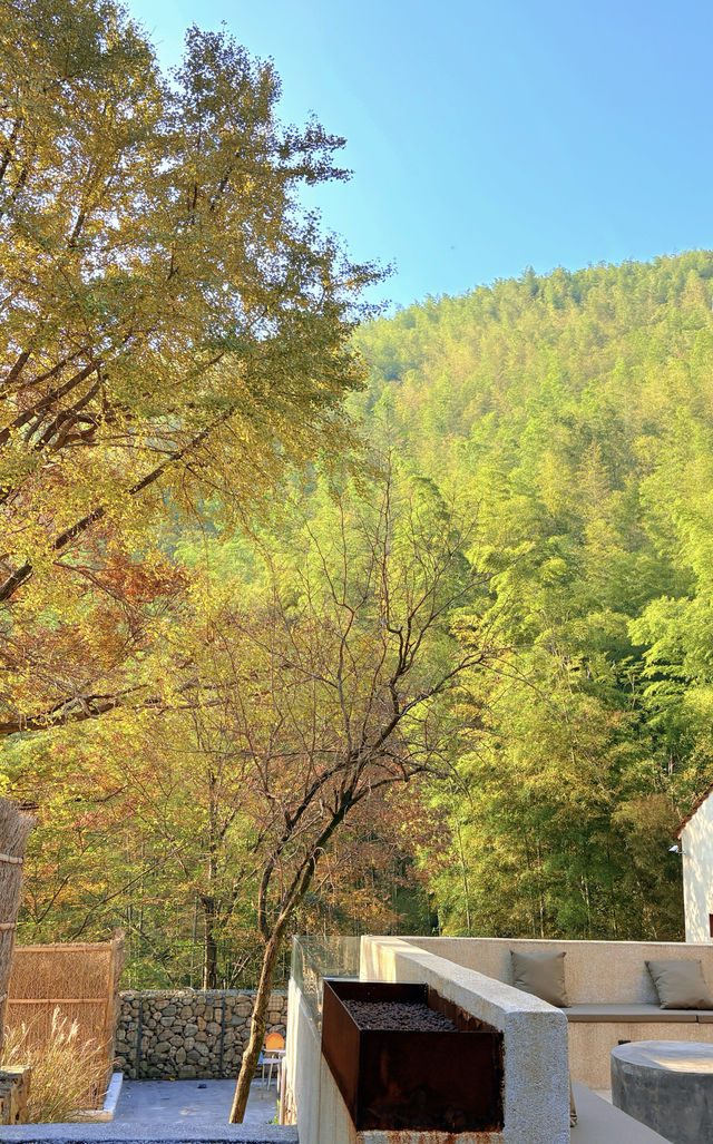 不慌不忙與秋風最後的浪漫