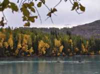 太難了!終於把喀納斯旅遊攻略搞清楚了