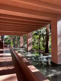 雨林野奢酒店指南