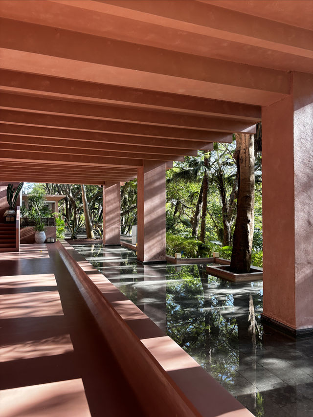 雨林野奢酒店指南 雨林野奢酒店指南