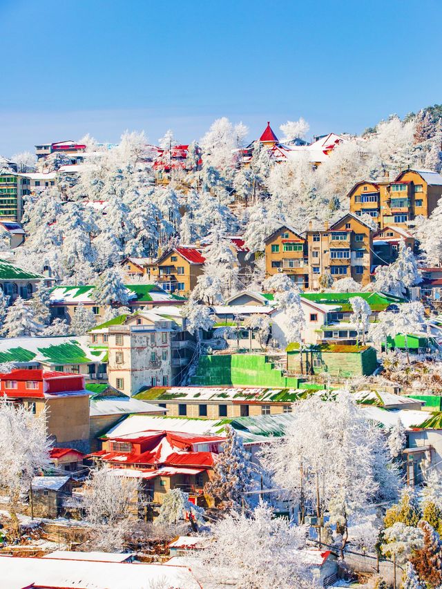 廬山的第一場霧淞好美！！