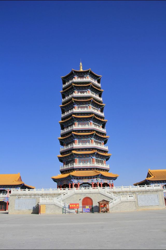 絕美秋色！在金塔胡楊林邂逅金色童話