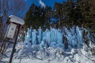 青垂氷柱ライトアップショー：氷柱の間を通り抜け、不思議な獅子舞を鑑賞