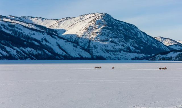等一場阿勒泰的雪，赴人間純白之約