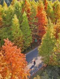 南京99%的人都不知道這裡， 出片還人少