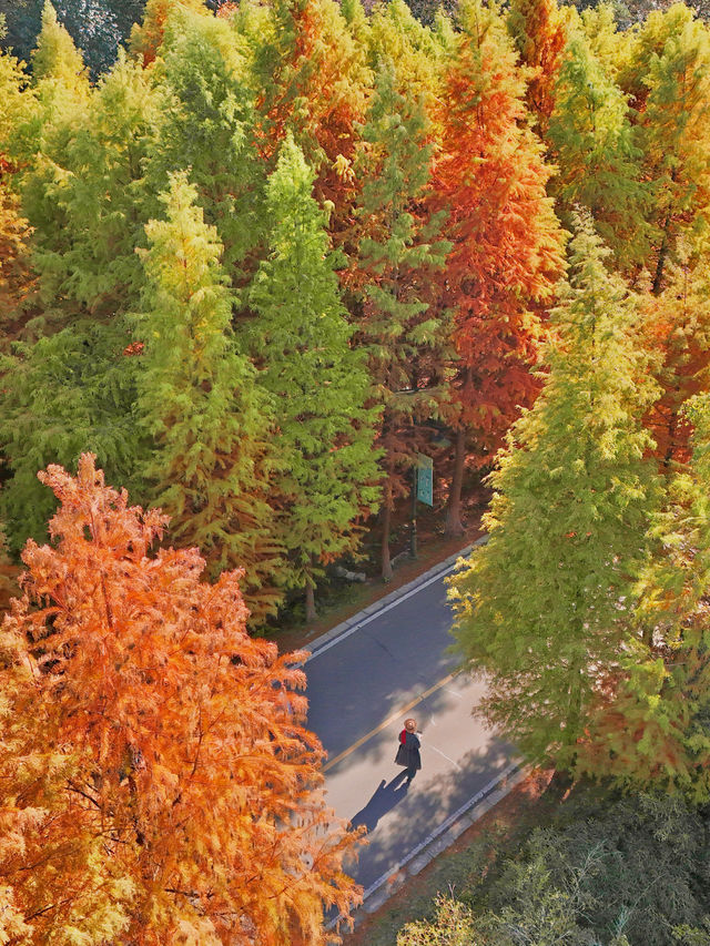 南京99%的人都不知道這裡， 出片還人少