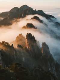 郴州莽山！帶娃解鎖不用爬的山