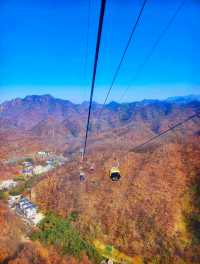 絕壁仙境全攻略