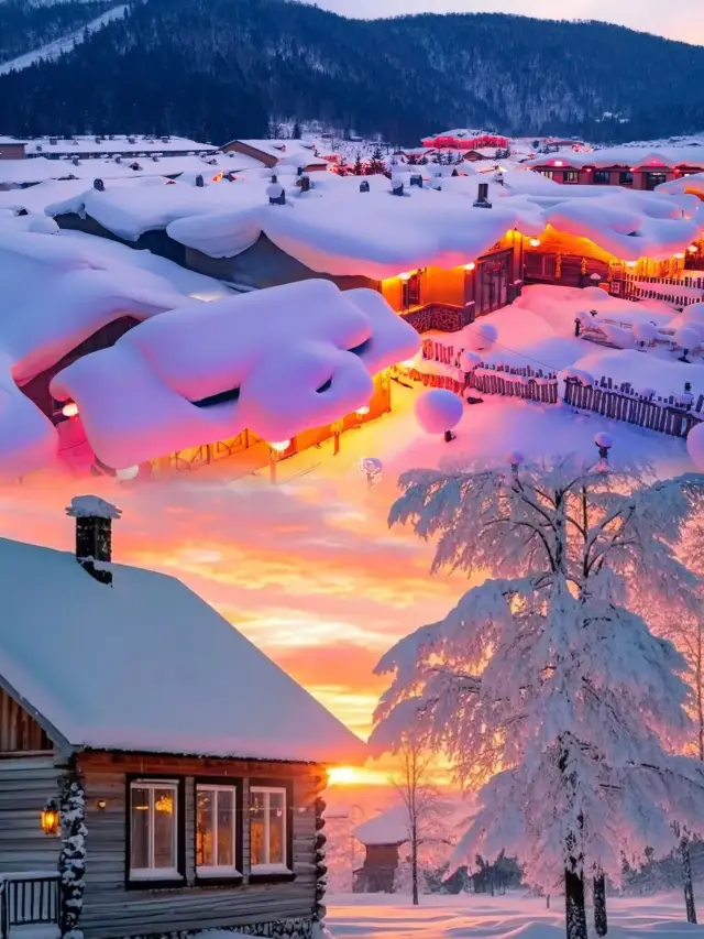 하얼빈 5일 4박｜베이비시터급 가이드! 이 글 하나면 충분해요!